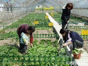 為什么一個個的生態園經營困難?