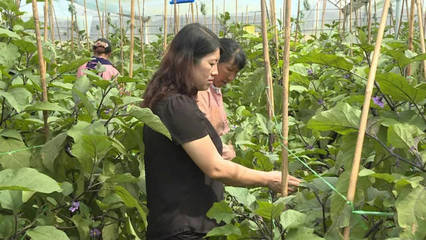 彌渡女性創業者福音:創業難 扶持來幫忙