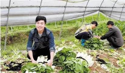 這里是安放夢想的地方,山水