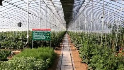 廢棄物變“聚寶盆”!廣饒循環經濟發展漸入佳境!