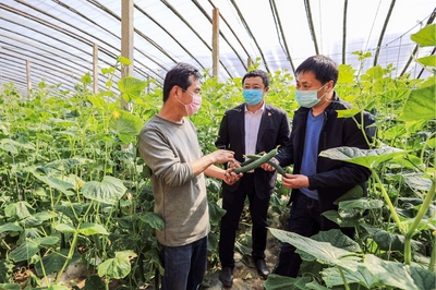 河北“惠農e貸”助力農產品保市場供應