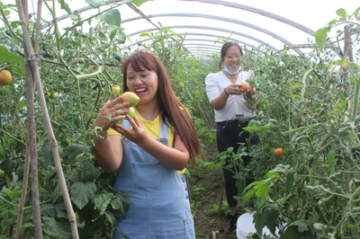 “十一”黃金周龍陵縣的家庭農場又火了!