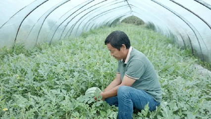 金融"活水"灌溉"三農"沃土
