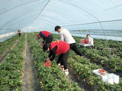 海安市東夏村:只此“青綠”開“紅花”