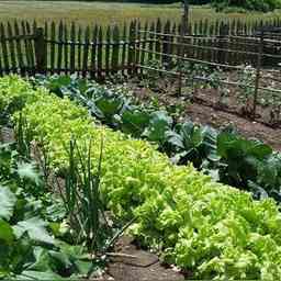 有機農業家庭農場