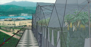 2100平方米屋頂氣霧栽培蔬菜工廠 屋頂農場首選模式