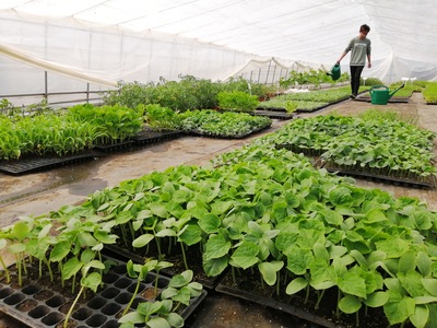 一畝三分田,圓你家庭農場主的夢想!