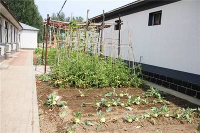 周末京郊親子游好去處,你想要的這里全都有!