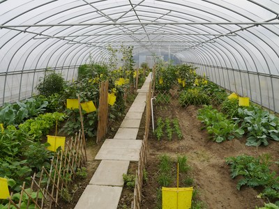 一畝三分田,圓你家庭農場主的夢想!