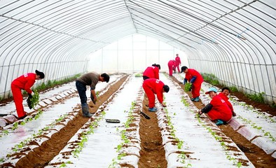 真招增福祉 實措暖民心