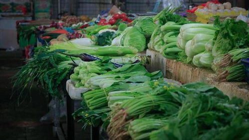 夏天這6種蔬菜不建議大家吃,沒營養不好吃,菜販子自己都不吃