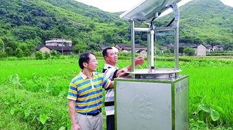 桂林農(nóng)業(yè) 走進(jìn) 互聯(lián)網(wǎng) 時(shí)代