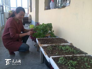 巴州首批太陽(yáng)能暖房投入使用