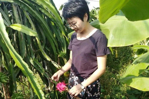 快來看 定海有4人獲省級最美稱號 她們都是誰