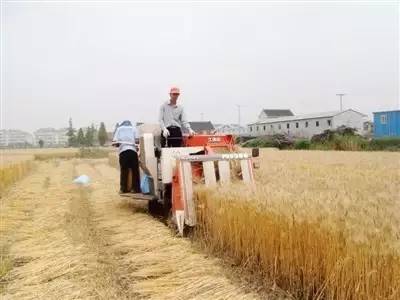 沒地的農(nóng)民就沒補貼了 不是,國家給了三項補貼可以領(lǐng)取