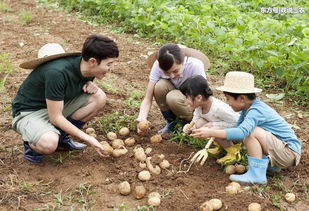 農(nóng)村這4種賺錢新門路,現(xiàn)在入手還來得及,干好一個都比打工強