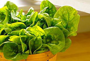 這菜歐洲賣30多一斤,人人搶著吃,我國只買幾塊錢