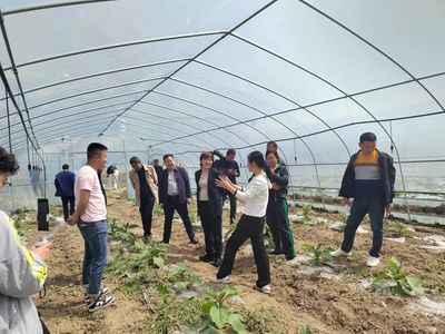 科普進(jìn)農(nóng)村 知識(shí)惠民生——紀(jì)南鎮(zhèn)魯垱村開展蔬菜種植家庭農(nóng)場(chǎng)農(nóng)業(yè)知識(shí)科普講座