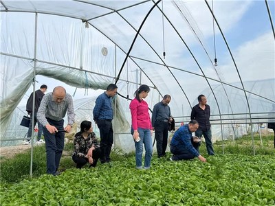 省園藝學會深入蕪湖市三山區、南陵縣調研蔬菜種植家庭農場發展現狀